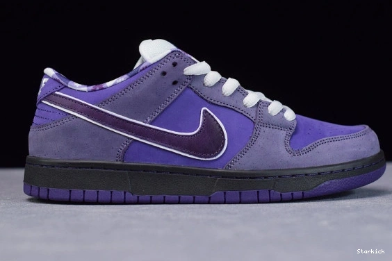 BV1310-555 Concepts Dunk Low SB Lobster Purple Nike 1008